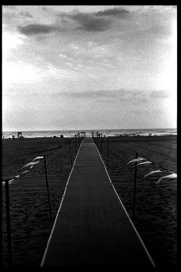 beach_path.jpg