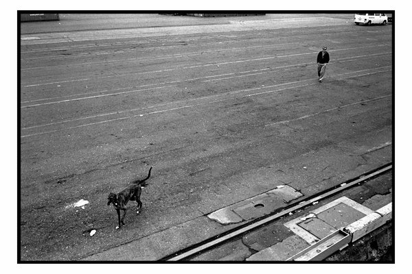 017-pilot_dog.jpg