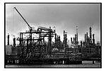 067-industry_clump.jpg